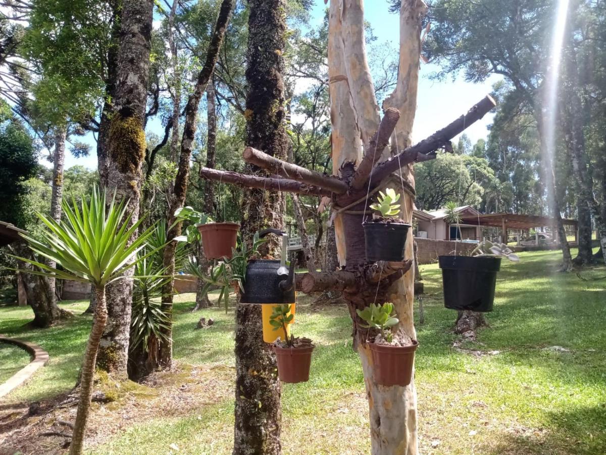 Cabana Romance - Recanto Da Natureza Канела Экстерьер фото