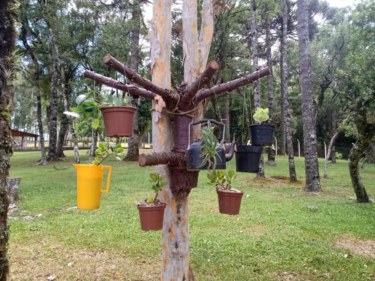 Cabana Romance - Recanto Da Natureza Канела Экстерьер фото