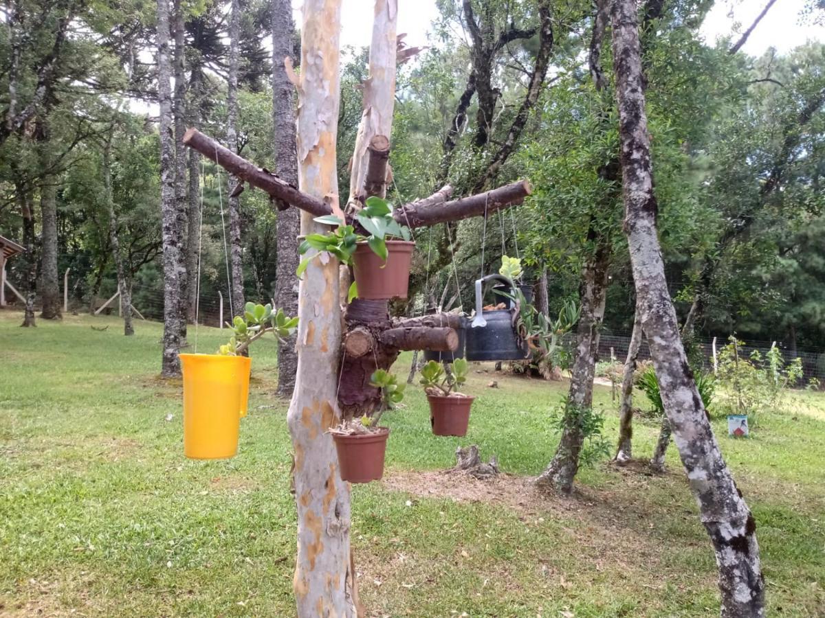 Cabana Romance - Recanto Da Natureza Канела Экстерьер фото